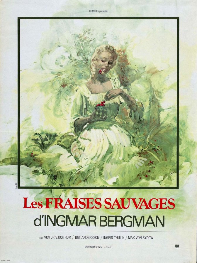 Les fraises sauvages